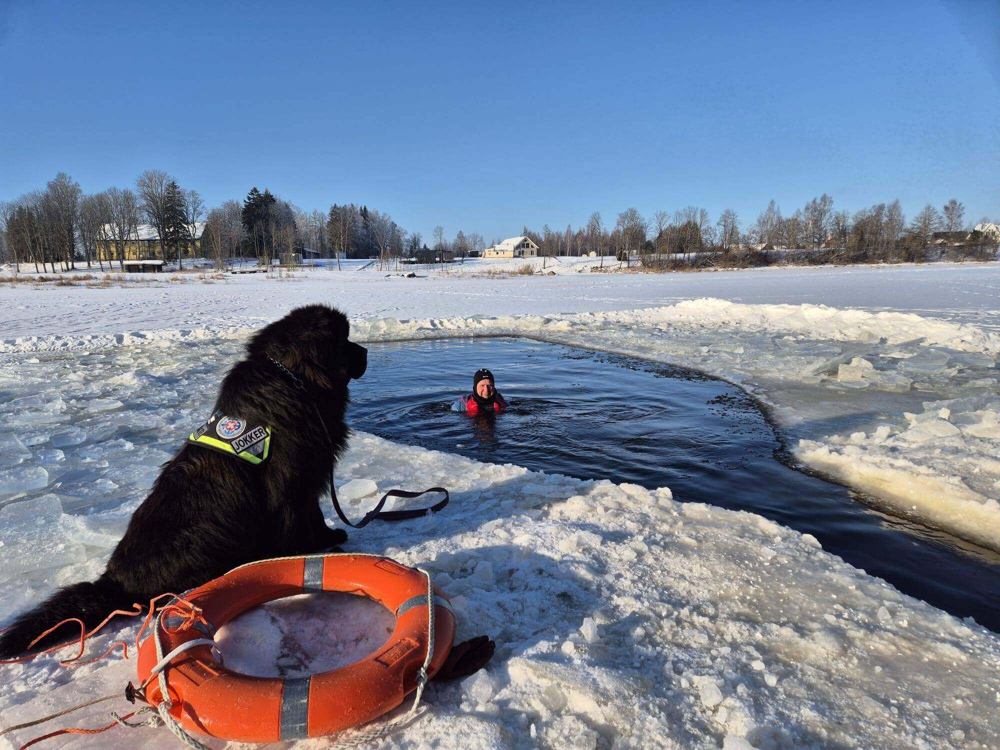 ERGO aasta ennetajaks valiti veepäästekoerad