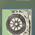 Headreadi raamatuaasta blogi: Ants Viirese “Puud ja inimesed”