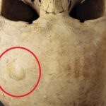 Inimluuleiud Paistu kirikaiast