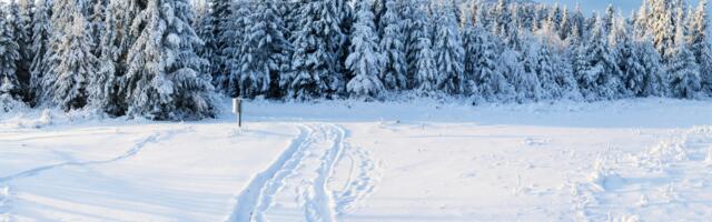 Legendaarne Black Eyed Peas tuleb esmakordselt Eestisse