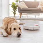 PLMF preemia “MUBA TALENT 2025” pälvis löökpillimängija Karl Martin Tombak