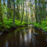 Riigipea teenetemärkide saajatele: oma eriilmeliste tegudega olete teinud Eesti paremaks