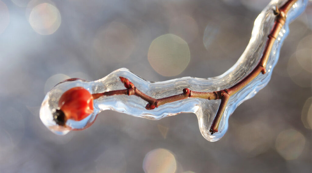 Soome asjatundja: atmosfääris toimus muutus, mistõttu on terve talve lõpp erakordselt külm