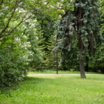 Tartu looduskaitsjad tahavad rohealasid liigse korrastamise eest kaitsta