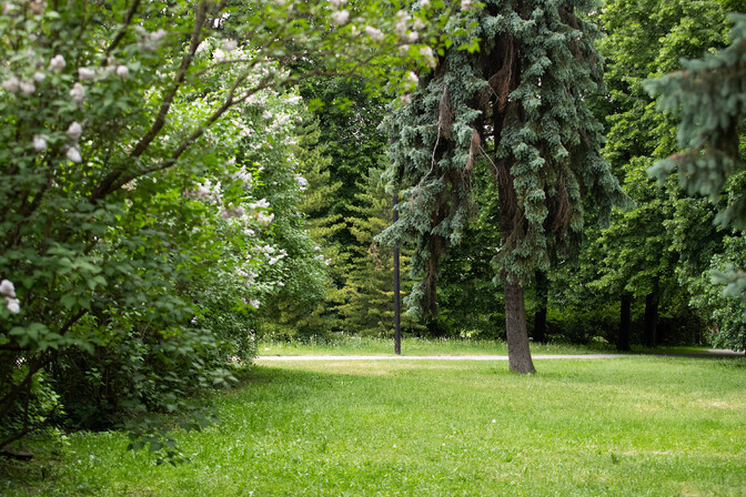 Tartu looduskaitsjad tahavad rohealasid liigse korrastamise eest kaitsta