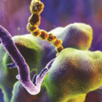 Teadlased jõudsid järeldusele, kuidas võis tekkida nüüdiselu olilisim alus – ribosoom