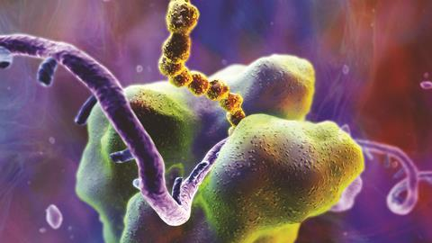 Teadlased jõudsid järeldusele, kuidas võis tekkida nüüdiselu olilisim alus – ribosoom