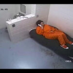 VÄRSKED PERVERDIUUDISED: kiimakott Andrew on taas vabaduses