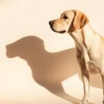 VIDEO I Enesearengu teejuht Asse Sauga: eneseareng algab hetkel, mil inimene otsustab ennast päriselt tundma õppida