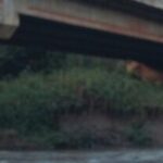 AITAN LAPSI I Raili Maasing: kultuurielamused jäävad suurpere eelarves sageli viimasele kohale