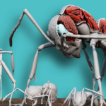 Loodusmuuseum alustas uue tehnoloogiaga putukate ülitäpset skaneerimist – robotiehitajad juba põnevil