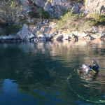 Selgus, et viikingite järeltulijad oskasid kasutada bakter-relva