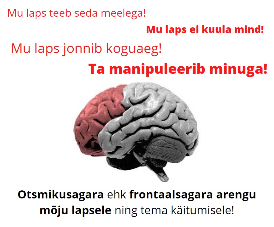 „Tahaks nutta või karjuda, aga oled lihtsalt nii läbi.“ Närvitikid muudavad ka kõige tavalisema päeva raskeks