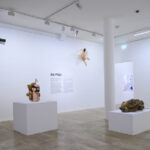 Anu Põderi postuumne tähelend viis tema tööd maailma tippgaleriidesse