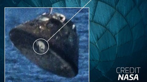 Artemis II kuumakaitsekilp uuritud – loe, mis selgus