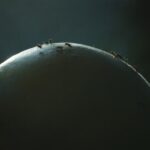 Arvustus. Ühe oru organismid