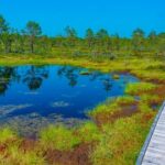 Eesti õhk on üks Euroopa puhtamaid: värske raport paigutab meid ka maailma eliiti