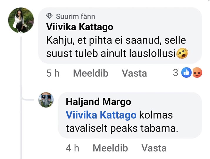 Kert Kingo: “sallivuslased” näitavad sotsiaalmeedias ennast vägivaldsete ja verejanulistena