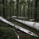 Ökopioneerfirma langus: mürgised turbiinijäätmed mürgitavad naabreid