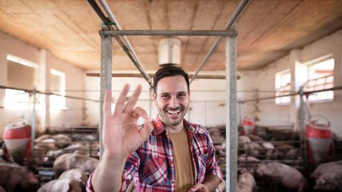 Rohepesu meistriklass: liha- ja piimatööstus