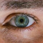 TÄNA AJALOOS ⟩ Toimus esimene inimsilma siirdamine