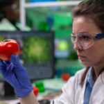 Teadlased avastasid tavalistest köögiviljadest aine, mis võib aeglustada vananemist