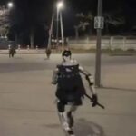 ULME POOLA TÄNAVATEL ⟩ Robot ajab metssigu taga ja on saanud üleöö netistaariks