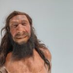 Neandertallaste geenipärand kasvatab inimeste viiruskoormust