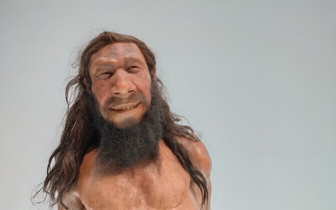 Neandertallaste geenipärand kasvatab inimeste viiruskoormust