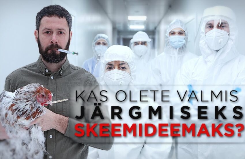 WHO hoiatab, et kruiisilaeval puhkenud hantaviiruse juhtumeid võib lähinädalatel lisanduda