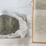 Esimene Antarktikast leitud dinosauruse luu lebas 40 aastat sahtlis