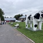 Imavere piimapäeval kinnitati eestlaste kodujuustu-usku