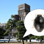 Jaapani teadlased avastasid enda ülikoolilinnakust uue putukaliigi