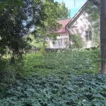 Paides püstitatakse rohtukasvanud kohtumaja kinnistule Vabadussõja monument