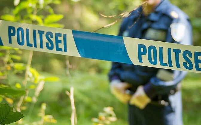 Politsei avastas rahvusvahelise operatsiooni käigus Eestist kaks kupeldajat