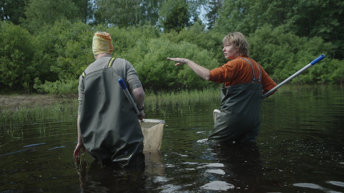 Sadakond tiiki pakuvad vaevas konnadele turvalist sigimispaika