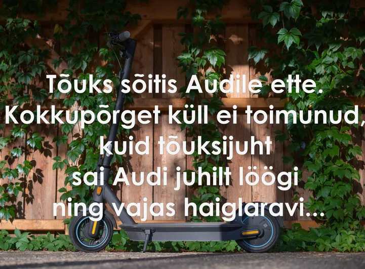 Artikli foto