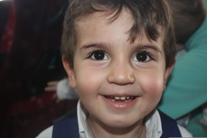 Artikli foto