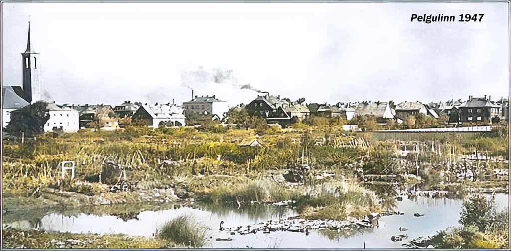 pelgulinn1947.jpg pelgulinn1947.jpg