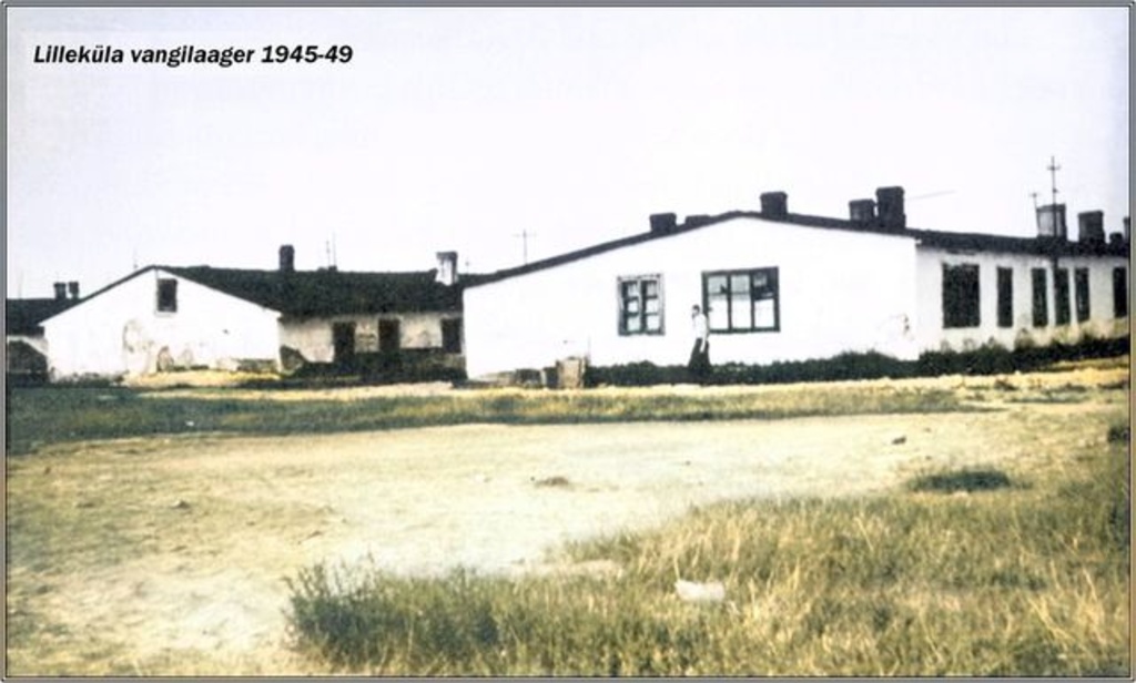 lillekyla_vangilaager_taksopark.jpg lillekyla_vangilaager_taksopark.jpg