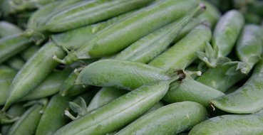 4020755t233h25f3.jpg 4020755t233h25f3.jpg