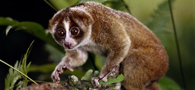 5649021t81h2db8.jpg 5649021t81h2db8.jpg