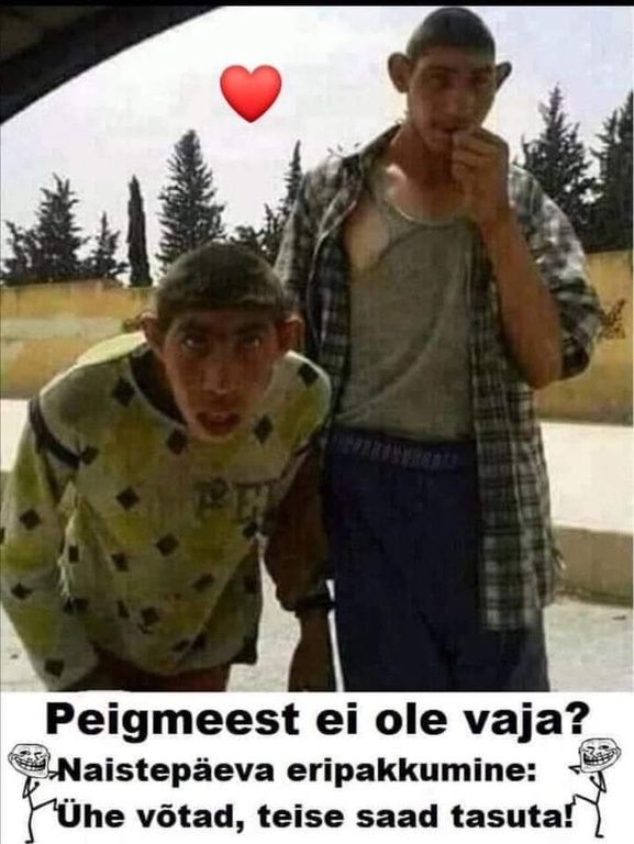 peigmees.jpg peigmees.jpg