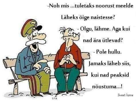 naistesse.jpg